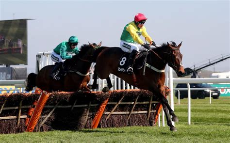 grand national 2018 runners